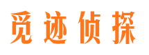 柳河市婚外情调查